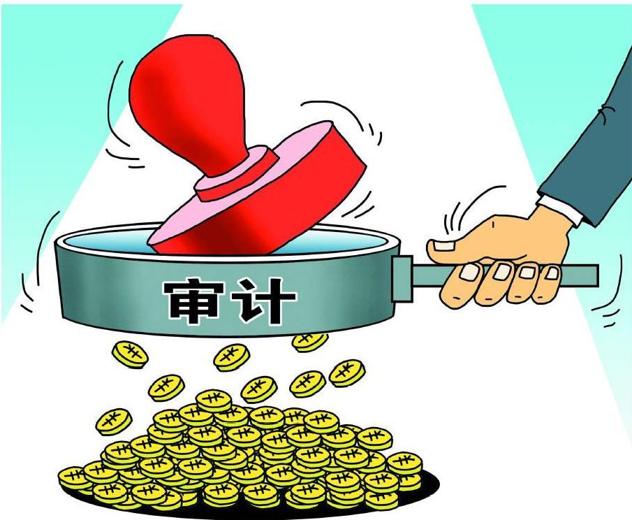 審計(jì),的,本質(zhì),是什么,審計(jì),的,本質(zhì),是什么,。,